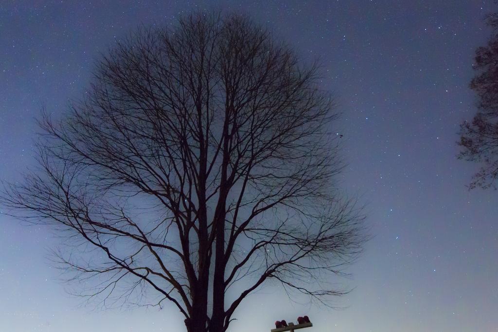 Minami Aso Luna Observatory Auberge Mori No Atelier Minamiaso Екстер'єр фото