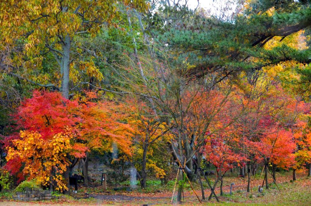 Minami Aso Luna Observatory Auberge Mori No Atelier Minamiaso Екстер'єр фото