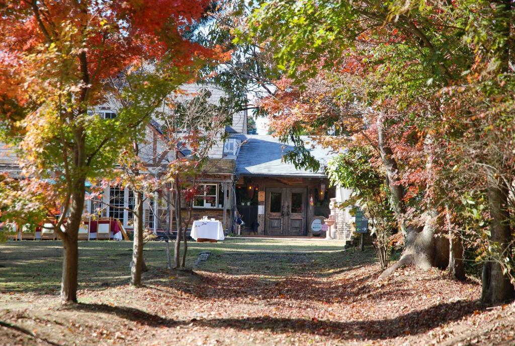 Minami Aso Luna Observatory Auberge Mori No Atelier Minamiaso Екстер'єр фото