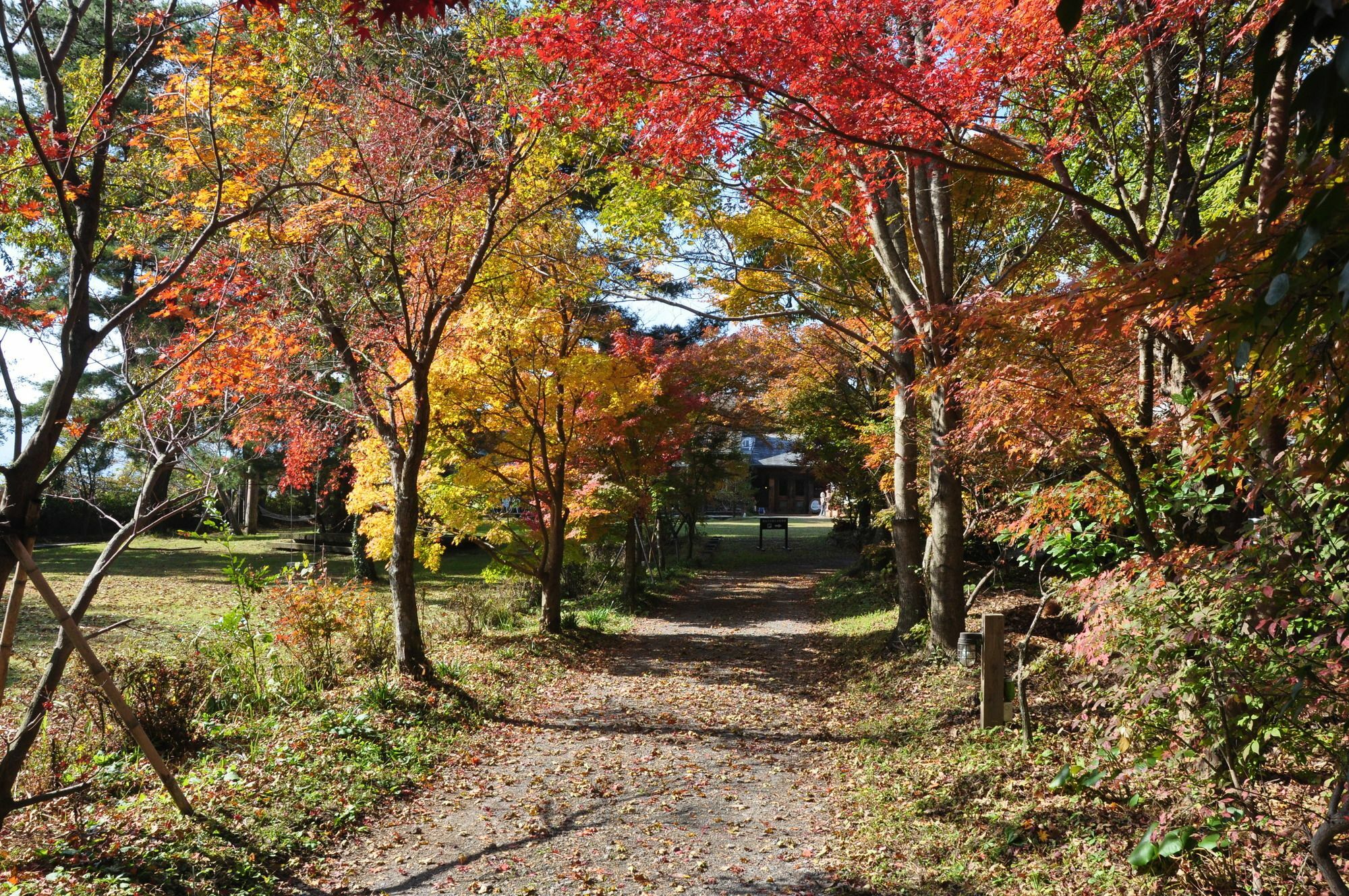 Minami Aso Luna Observatory Auberge Mori No Atelier Minamiaso Екстер'єр фото