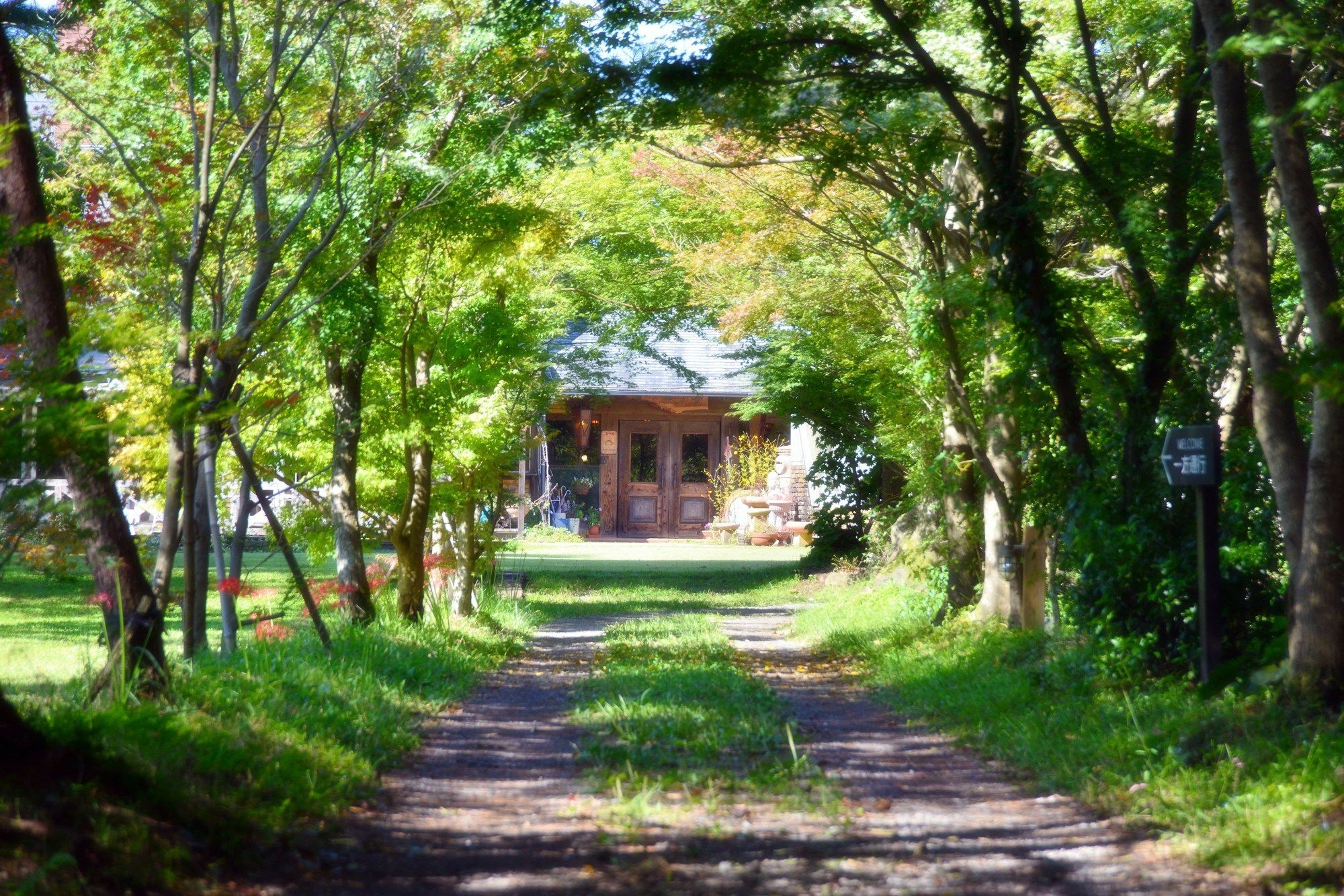 Minami Aso Luna Observatory Auberge Mori No Atelier Minamiaso Екстер'єр фото