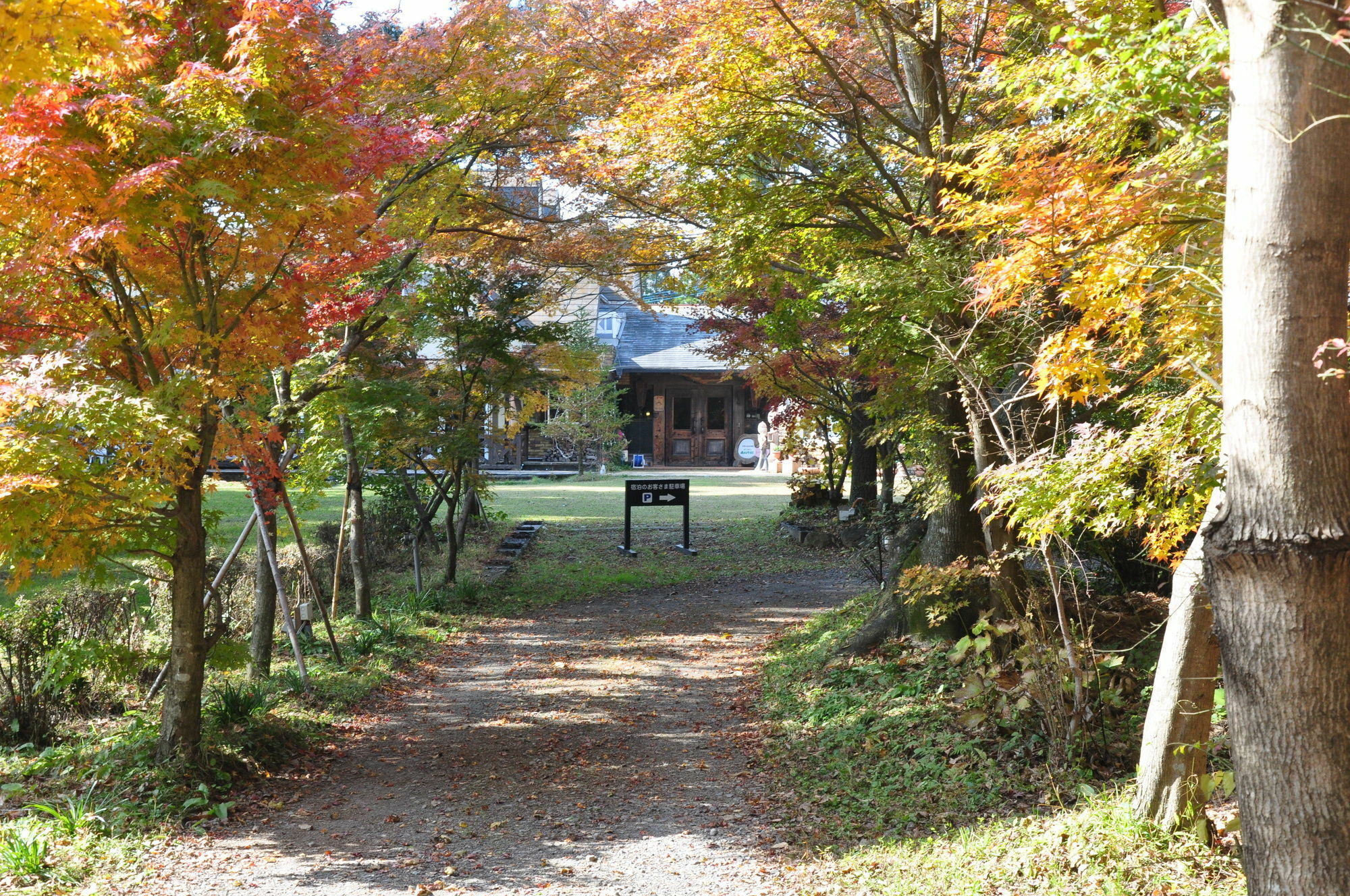 Minami Aso Luna Observatory Auberge Mori No Atelier Minamiaso Екстер'єр фото